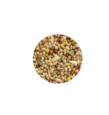 Hrana pentru perusi Wellness 1 kg